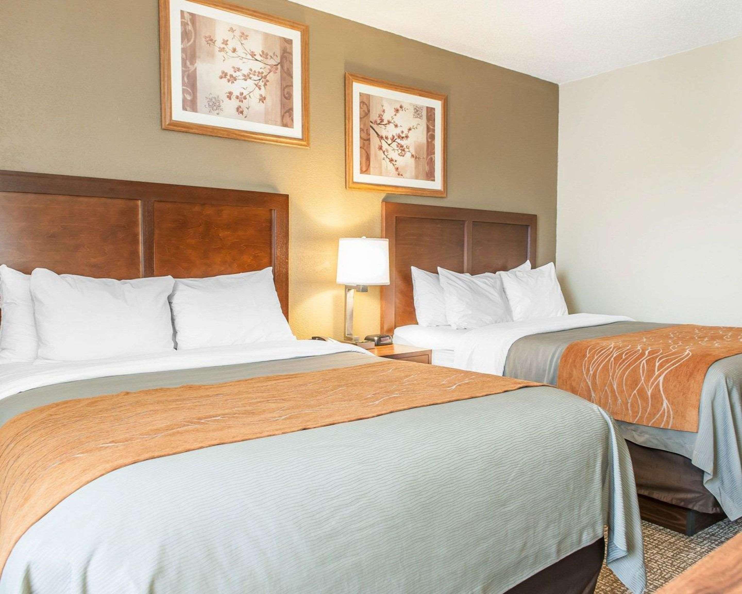 Comfort Inn Мэдисон Экстерьер фото